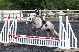 Class 4 - Fences 2'3 to 2'6